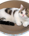 Cat Scratching Board