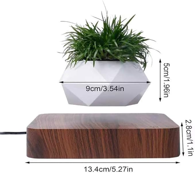 Levitating Plant