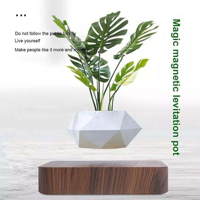 Levitating Plant