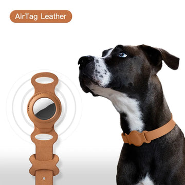 Leather Airtag Dog Collar