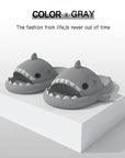 Shark Slippers