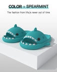 Shark Slippers