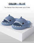 Shark Slippers